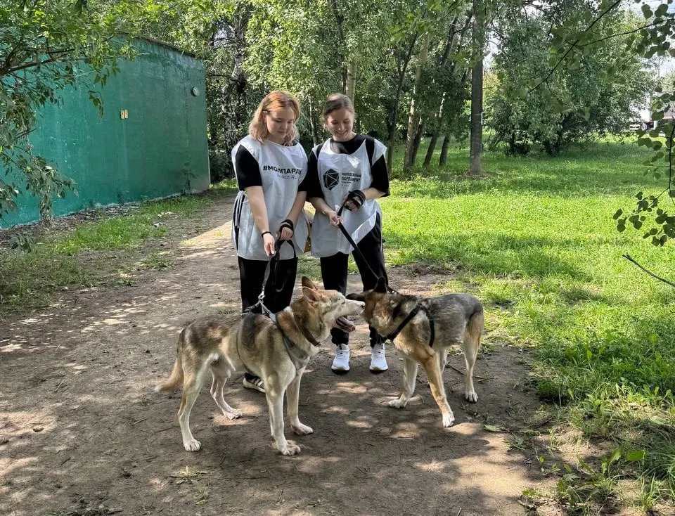 Знакомство с животными в организации «Зооспас» — Волонтёрство, Комсомольск-на-Амуре