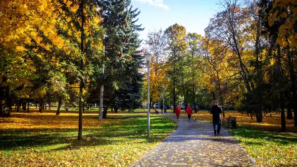 Прогулка в парке «Боева дача» — Экскурсии и прогулки, Курск