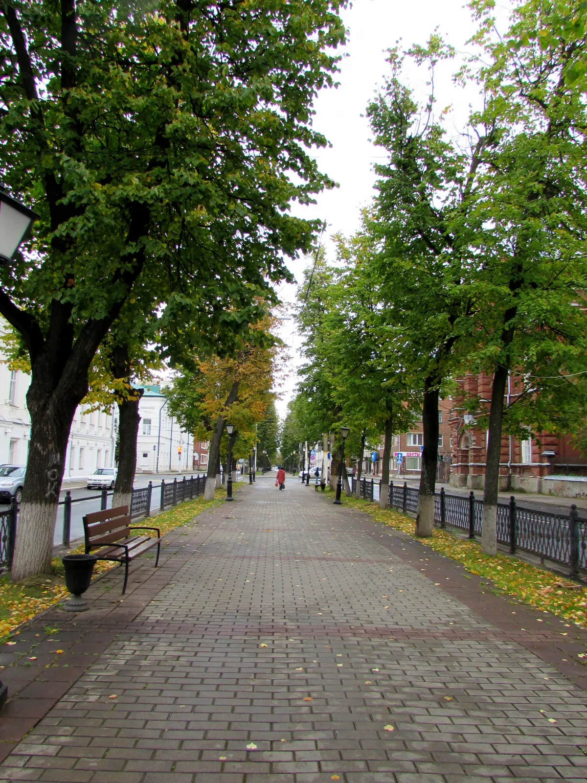 Прогулка в Центральном парке Костромы — Экскурсии и прогулки, Кострома