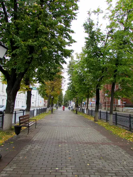 Прогулка в Центральном парке Костромы — Экскурсии и прогулки, Кострома