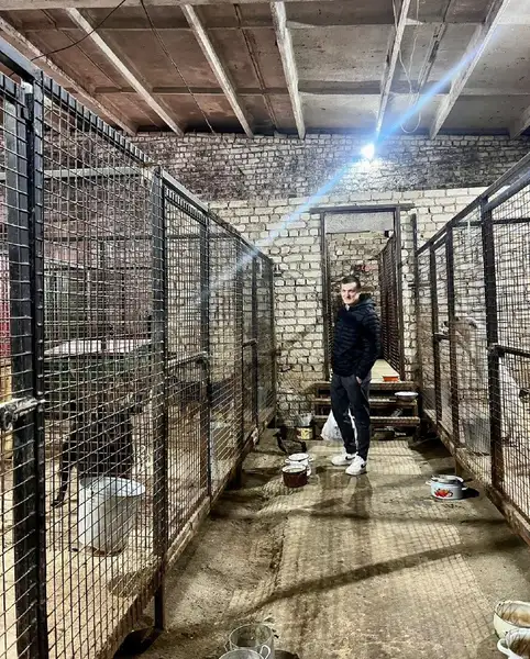Знакомство с животными в центре передержки на Костромской улице — Волонтёрство, Кострома