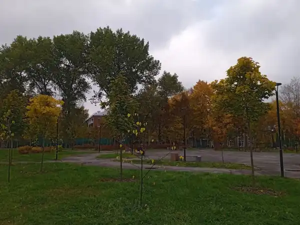Прогулка в парке им. В. Талалихина — Экскурсии и прогулки, Подольск