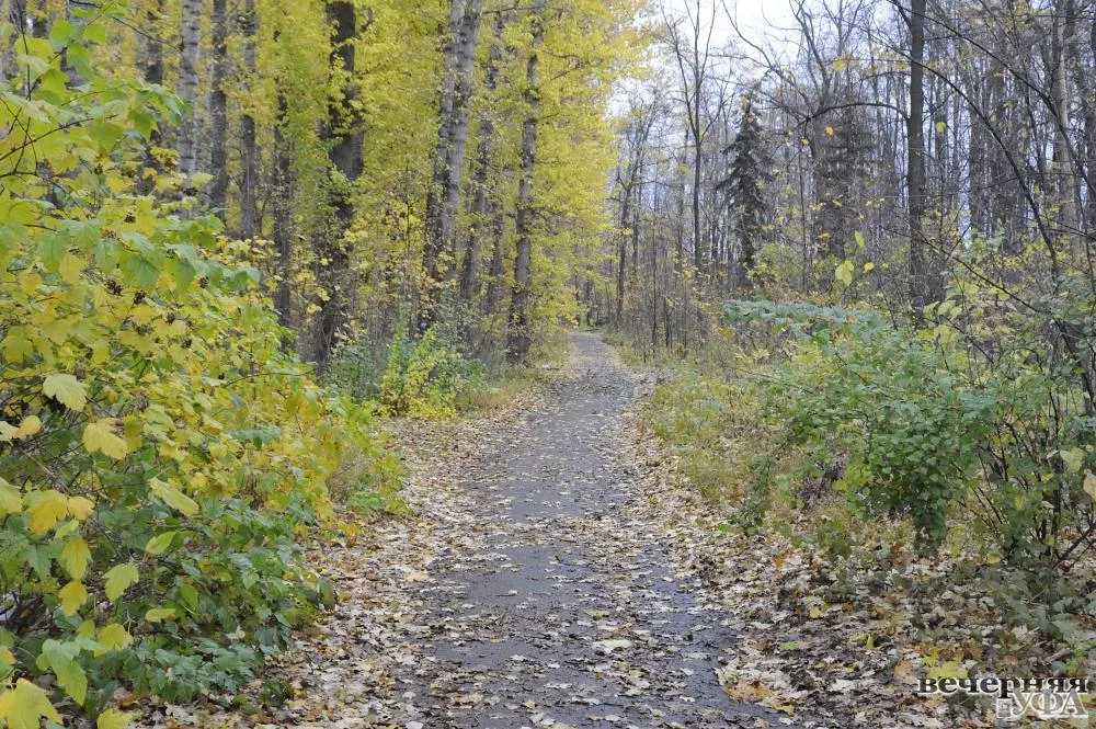 Парк Калинина, фото 3