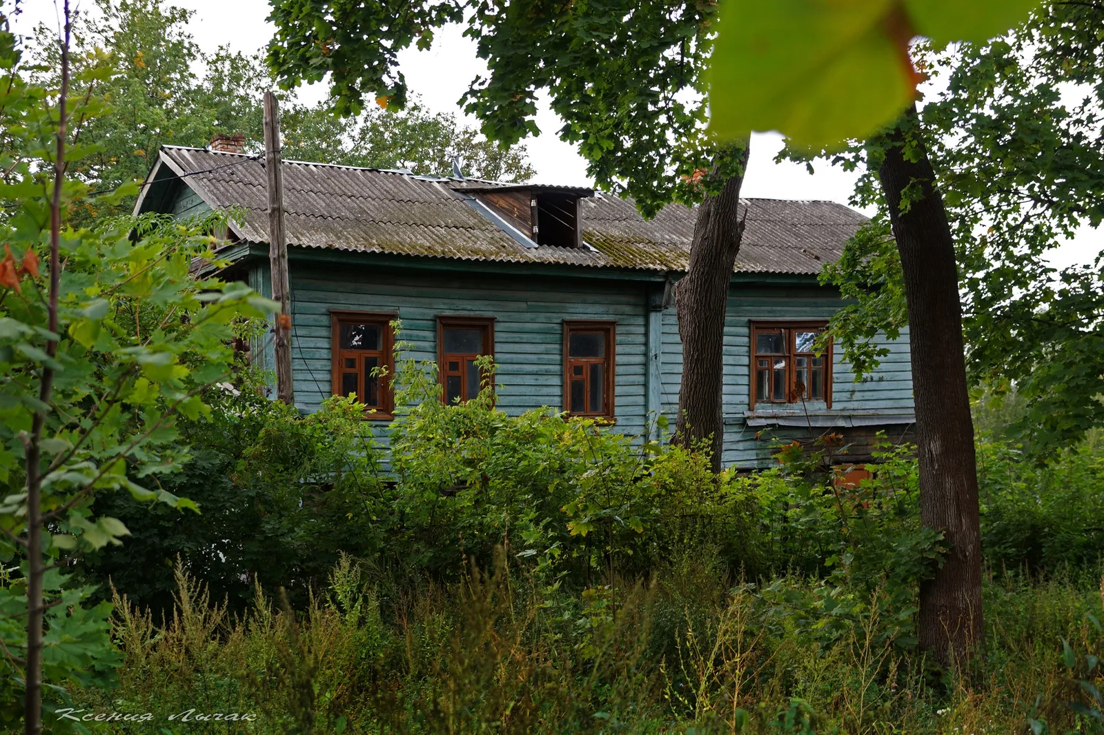Дворянское гнездо, фото 2