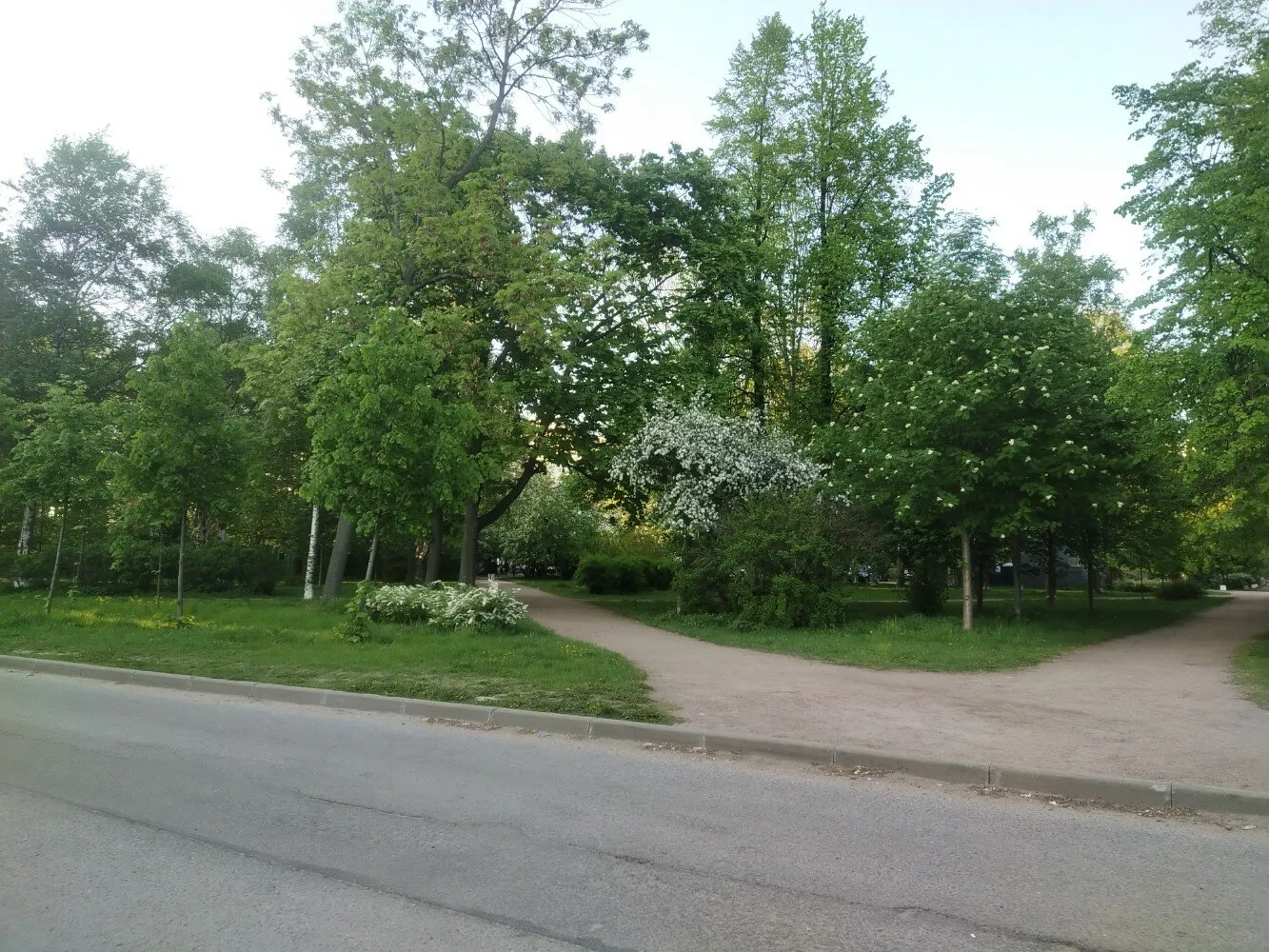 Сквер Николая Берзарина