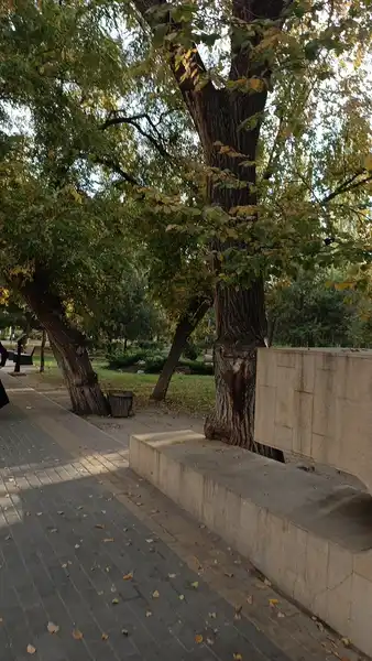 Сквер имени Фазу Алиевой