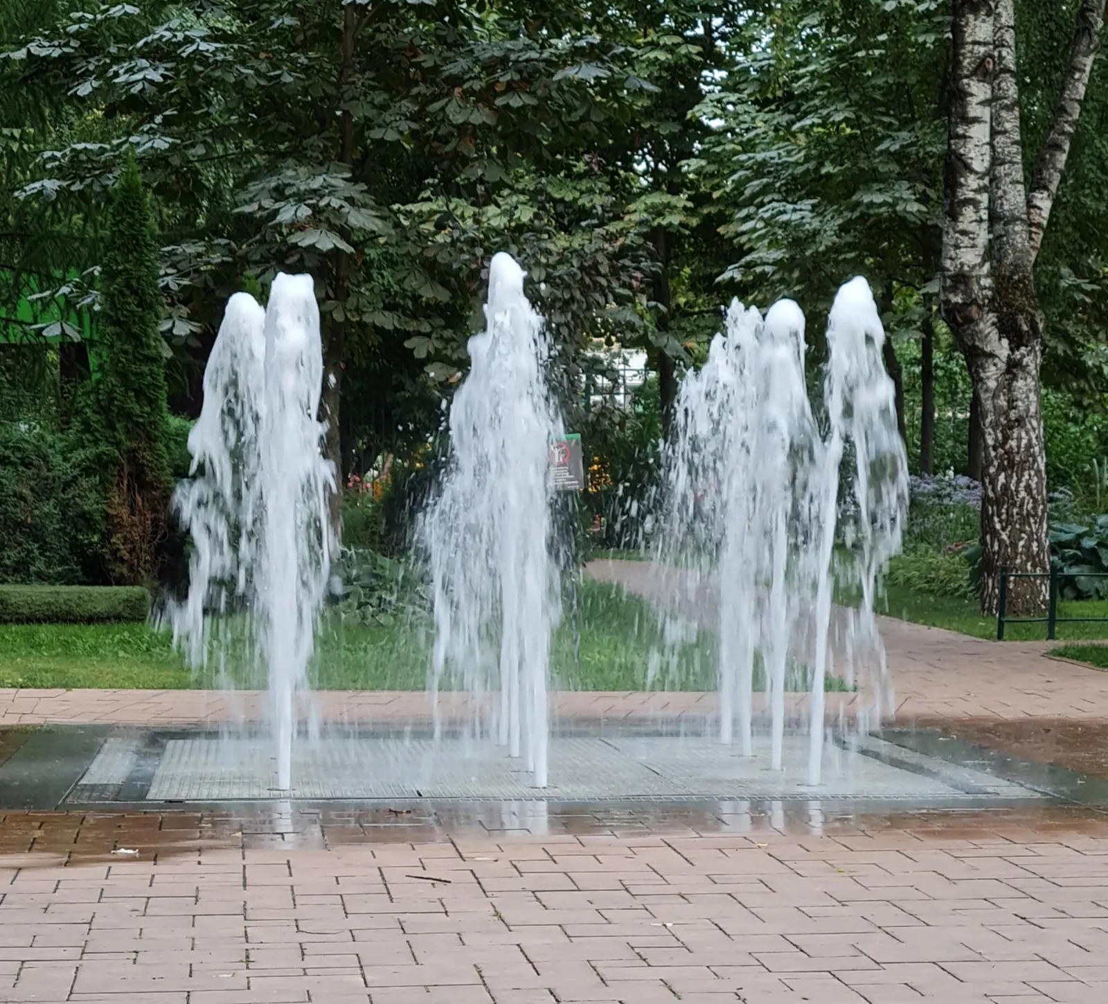 Бабушкинский парк, фото 3