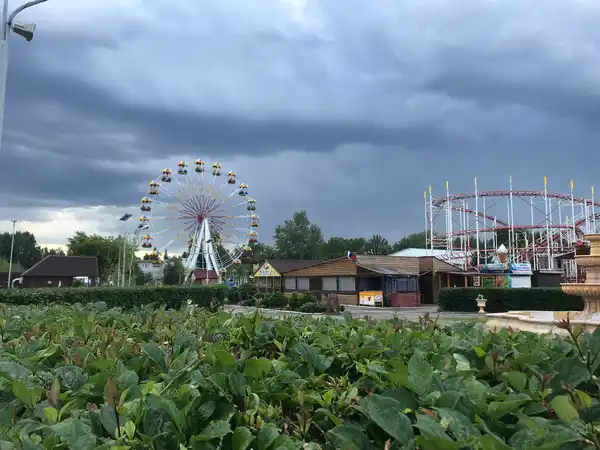 Арлекино