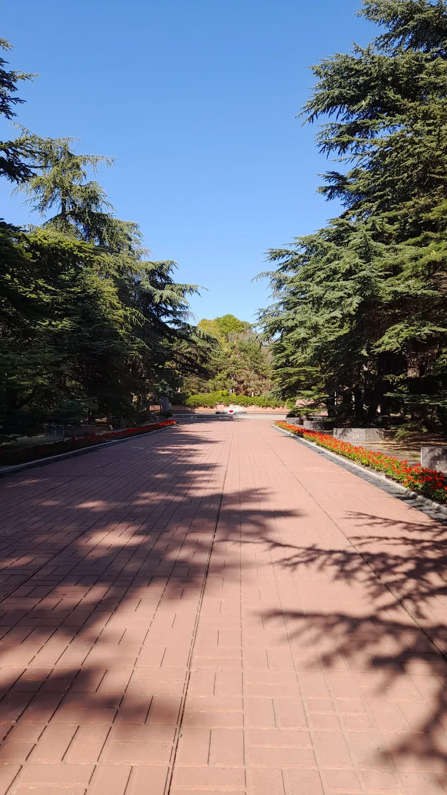 Парк имени Юрия Гагарина, фото 2