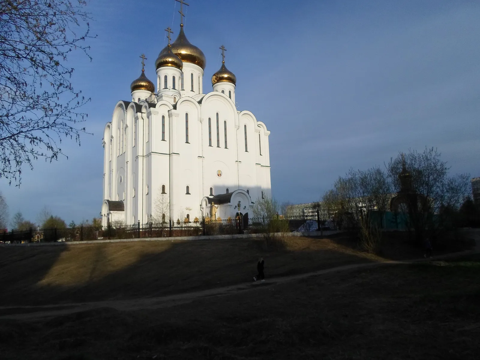 Свято-Стефановский кафедральный собор, фото 2