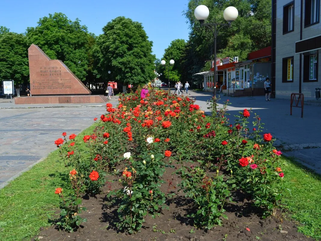 Сквер имени Сергея Позднякова, фото 3
