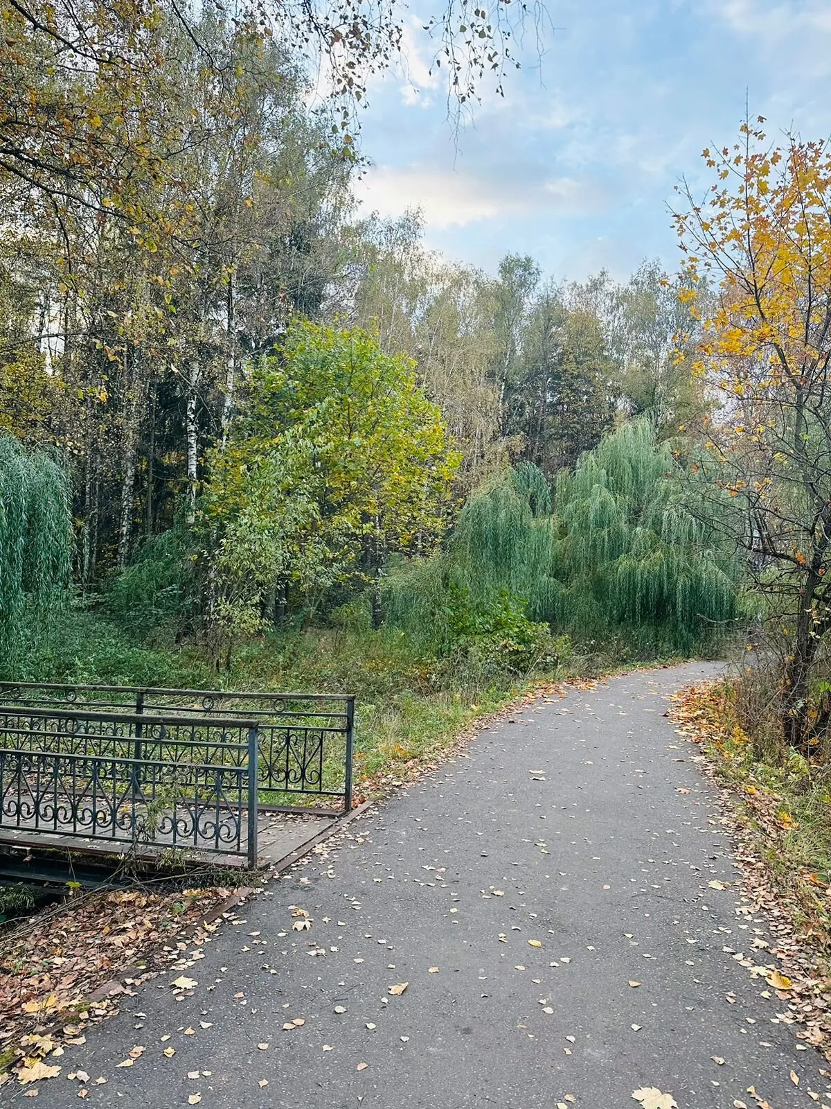 Бутовский лесопарк, фото 3