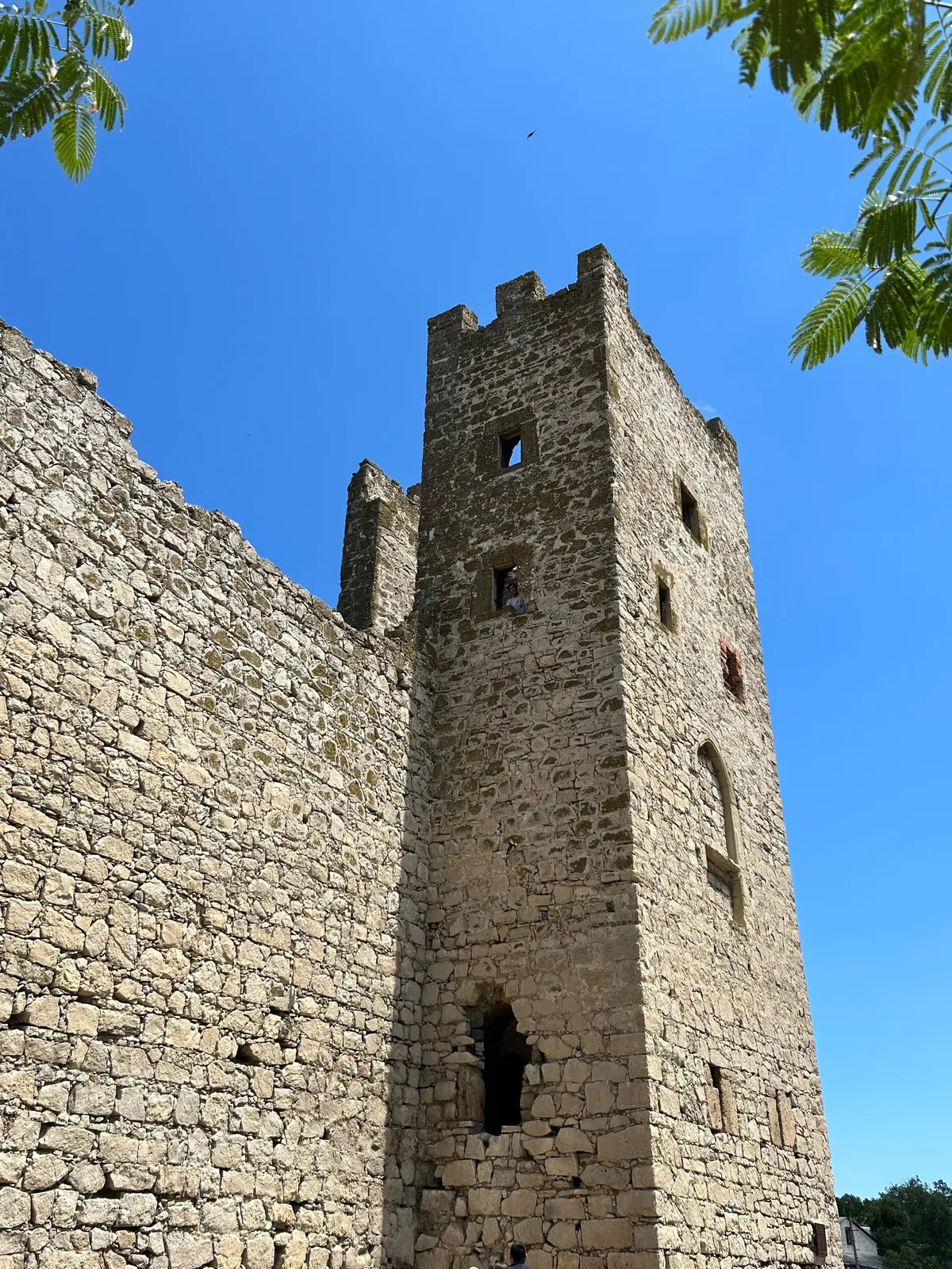 Юбилейный парк, фото 3