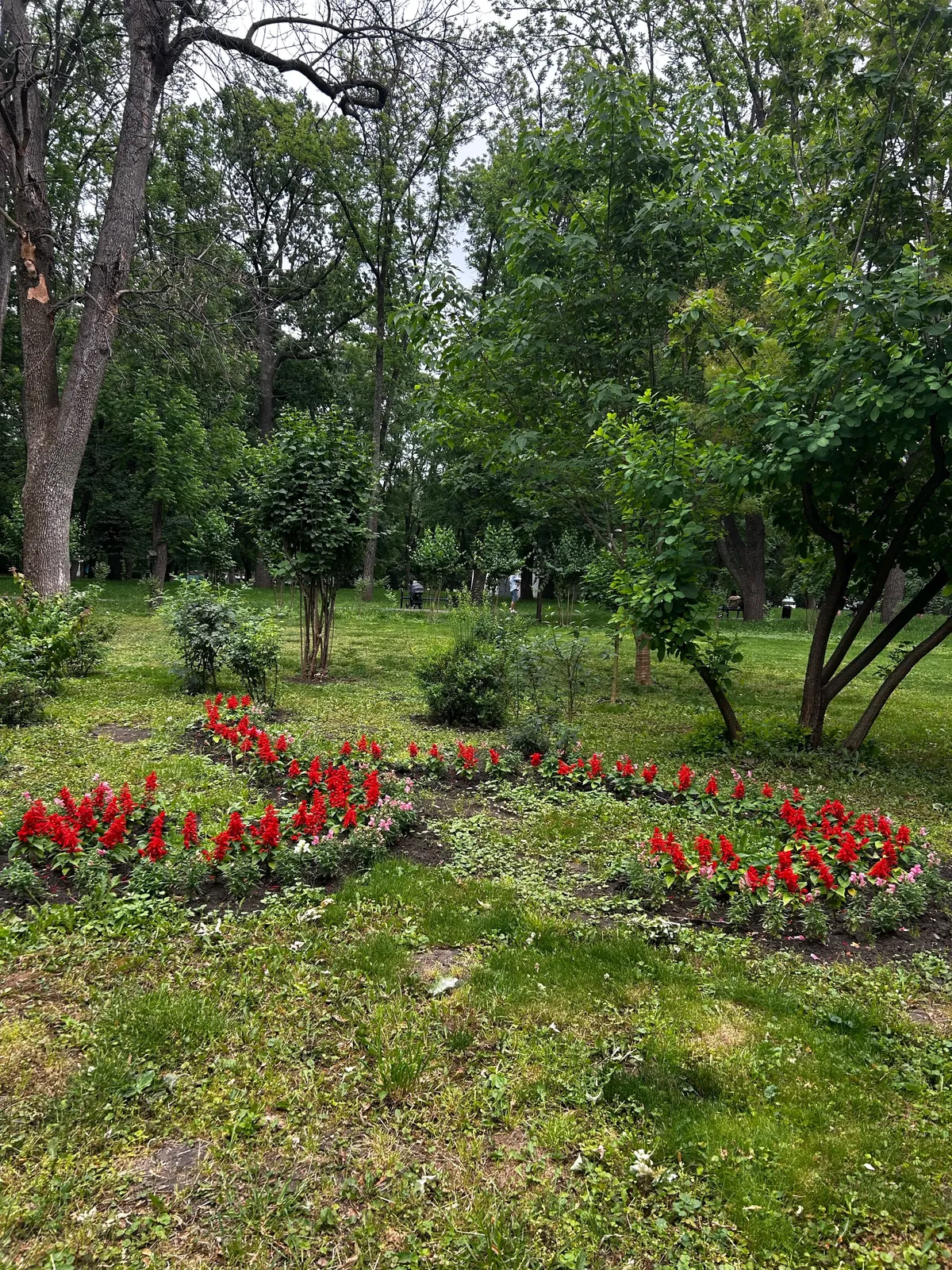 Чистяковская роща