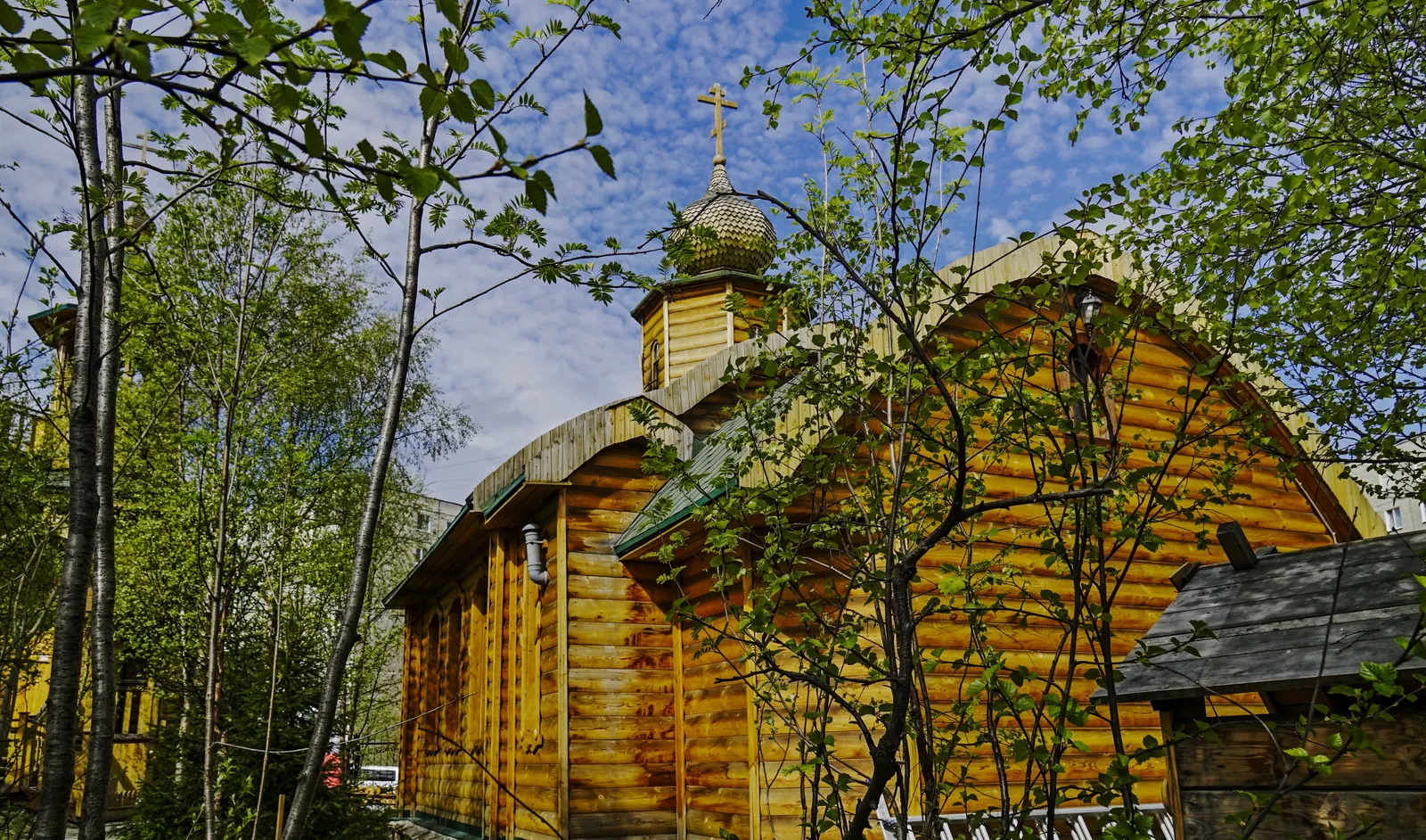 Церковь Введения во храм Пресвятой Богородицы, фото 3