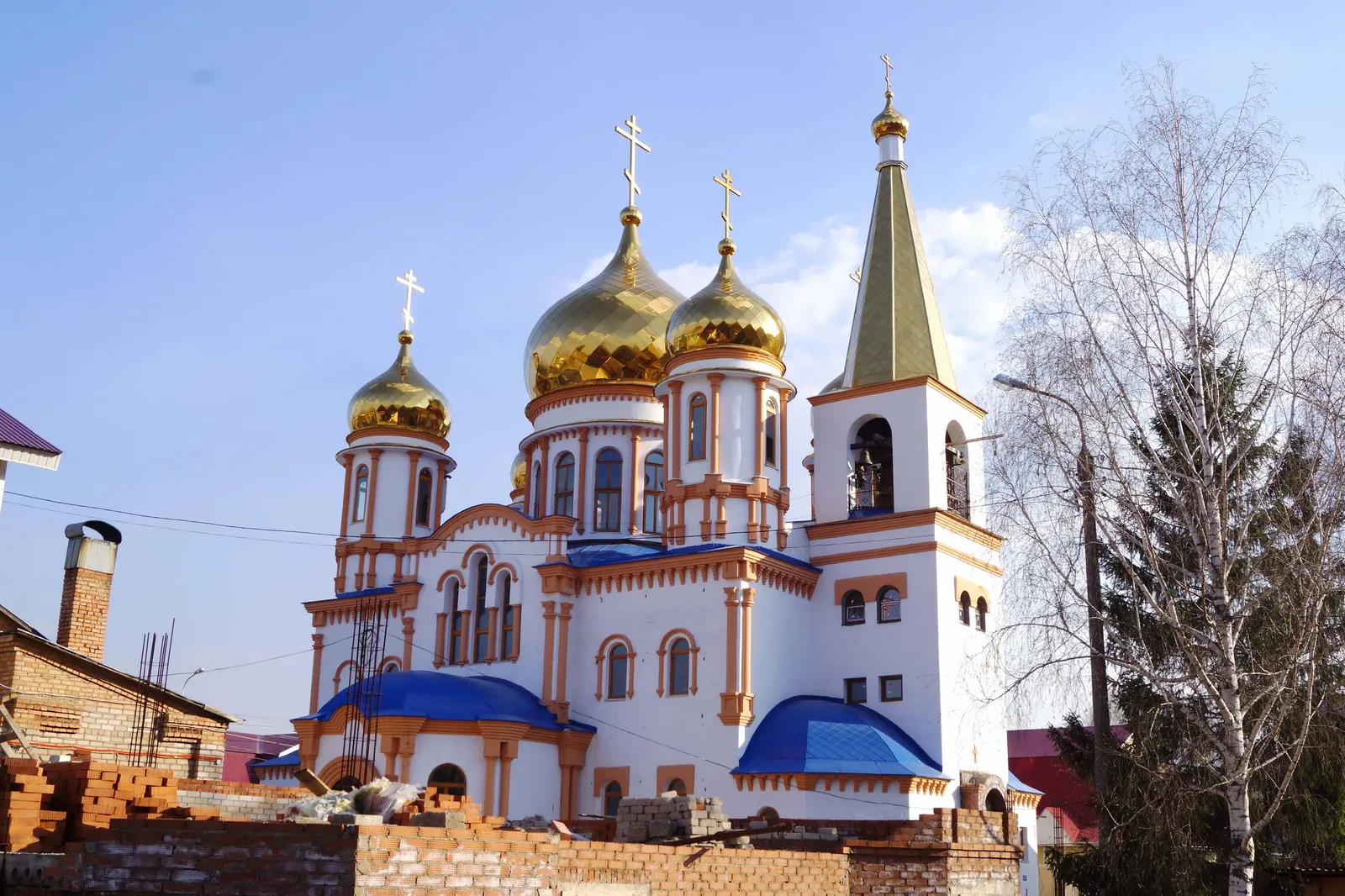 Свято-Никольский кафедральный собор, фото 2