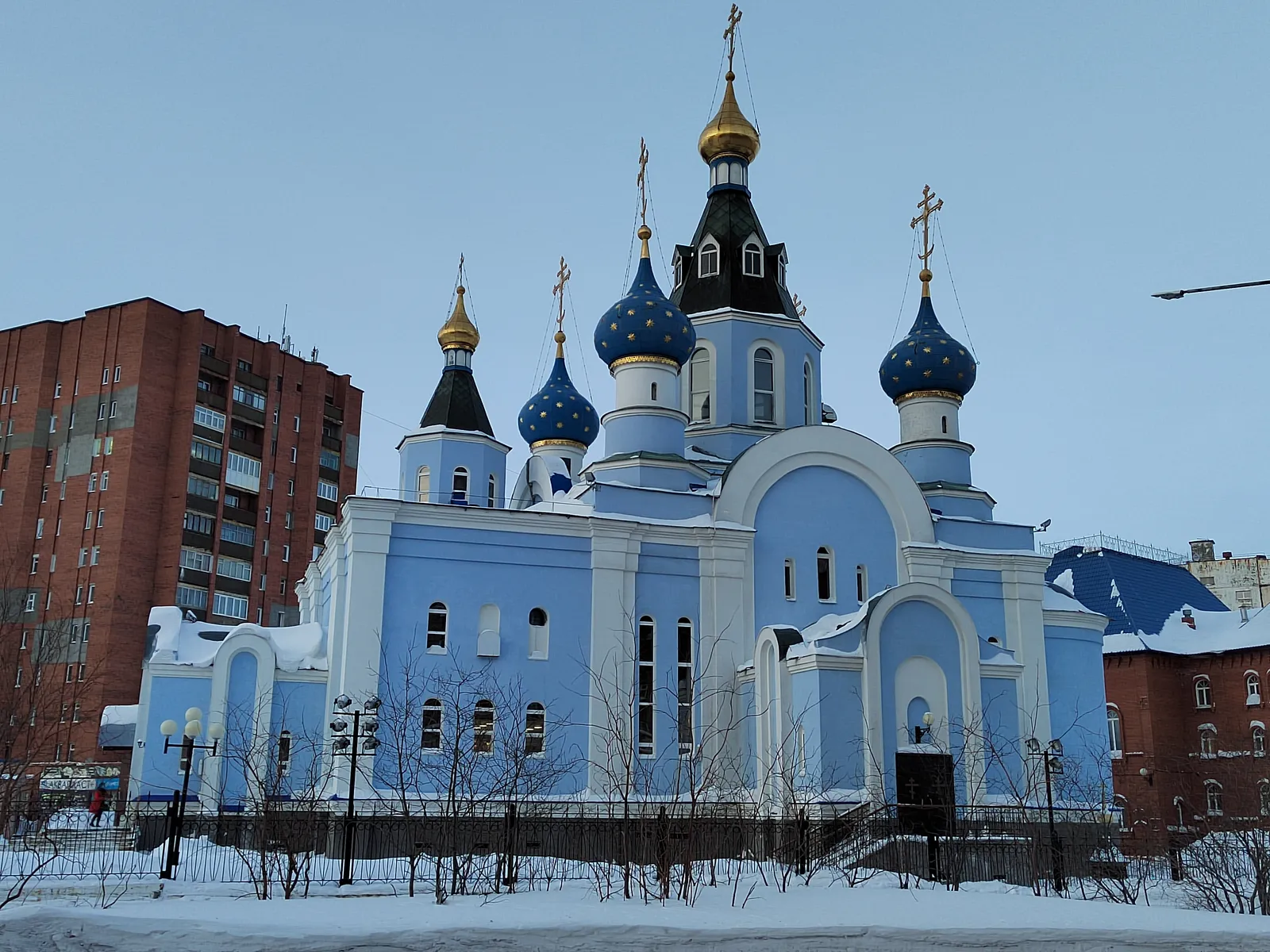 Кафедральный собор иконы Божией Матери Всех Скорбящих Радость, фото 2