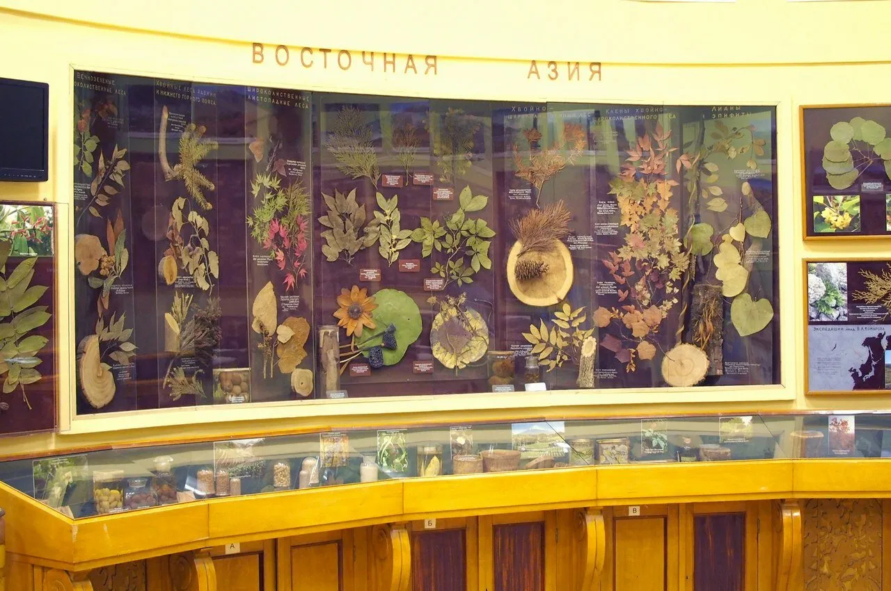 Ботанический музей, фото 2