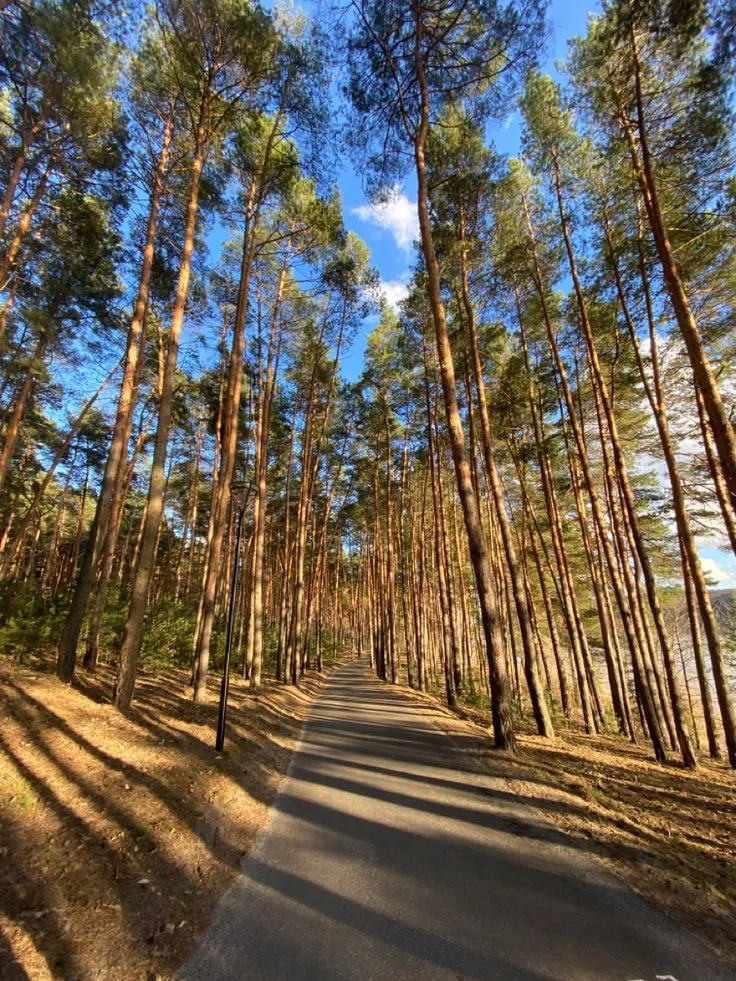 Центральный парк