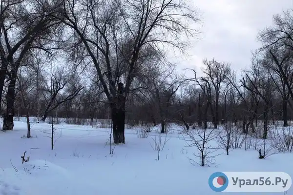 Парк Металлургов