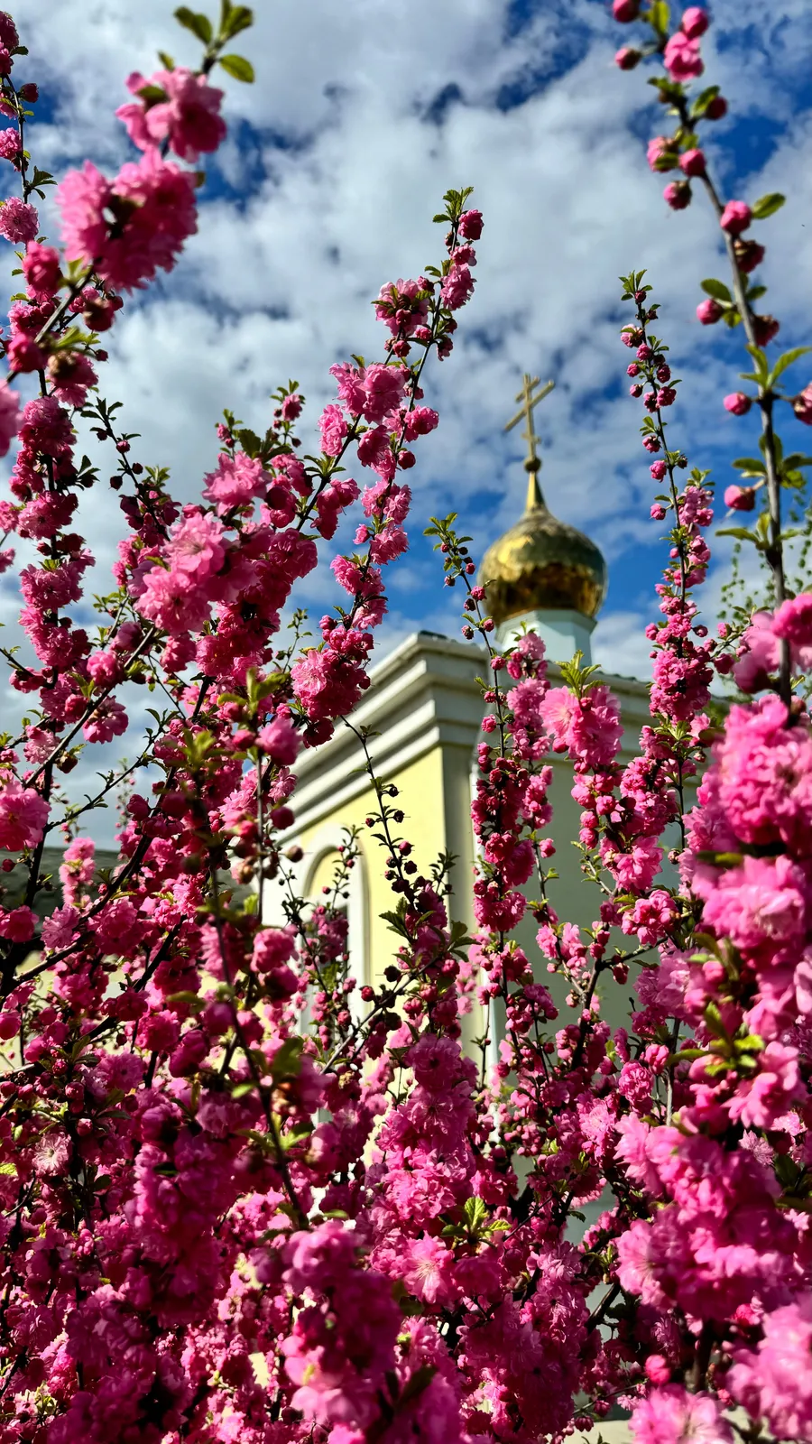 Храм Новомучеников и исповедников Церкви Русской, фото 3
