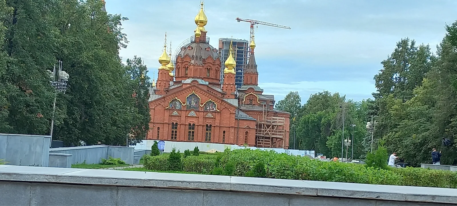 Алое поле