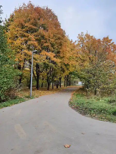 Аннинский лесопарк