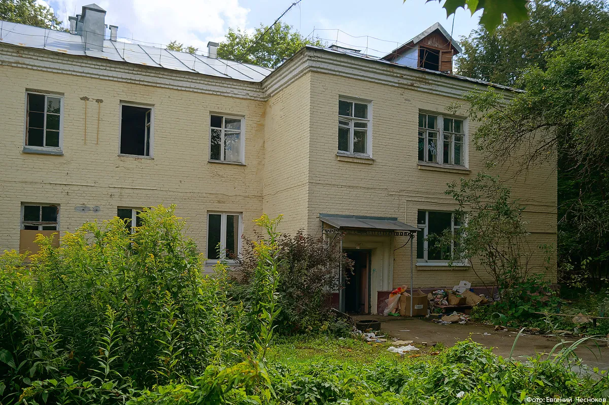 Аннинский лесопарк, фото 2