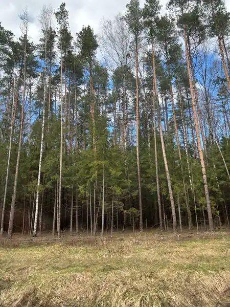 Вагоноремонт