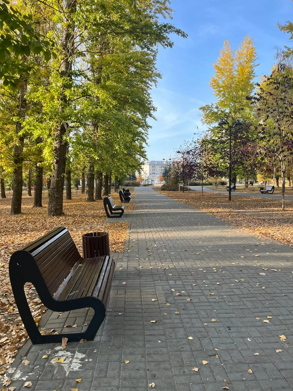 Парк имени Карима Тинчурина, фото 2