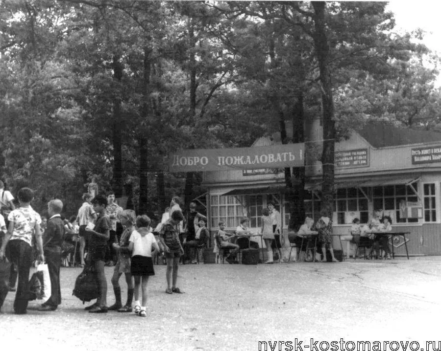 Пионерская роща, фото 2