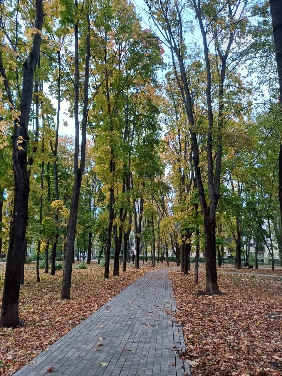 Сквер имени Маркова, фото 2