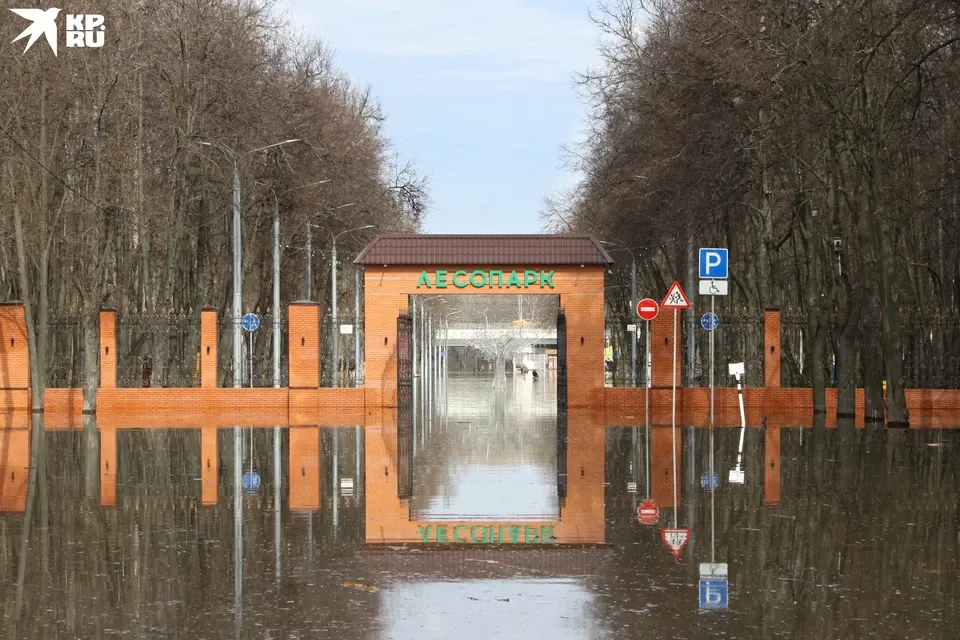 Приокский лесопарк