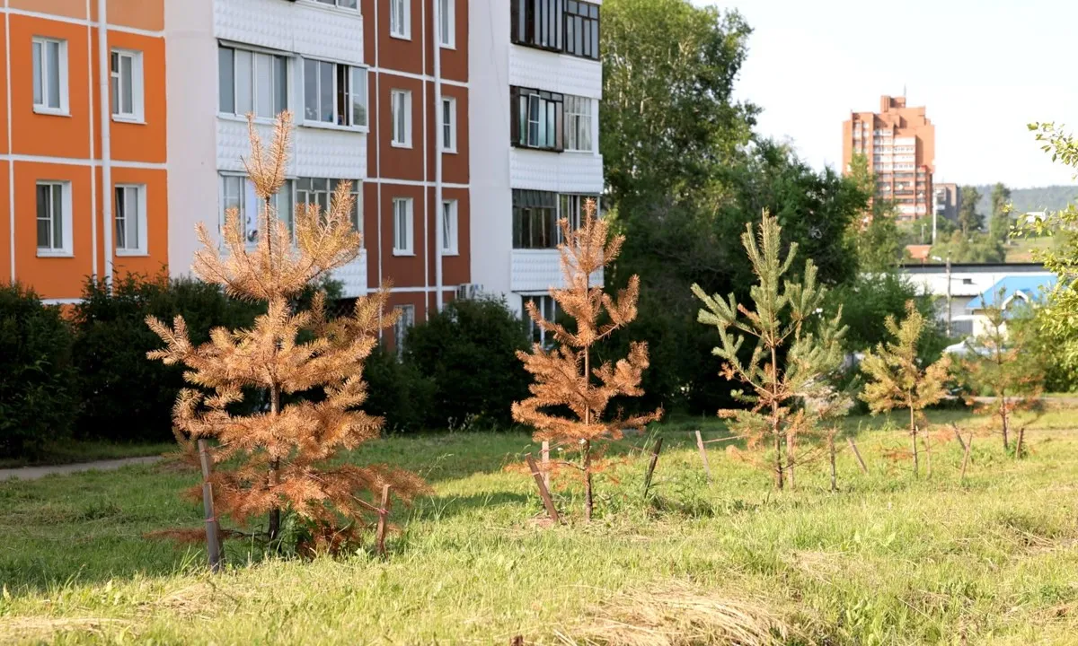 Сквер имени С. И. Вобликова, фото 3