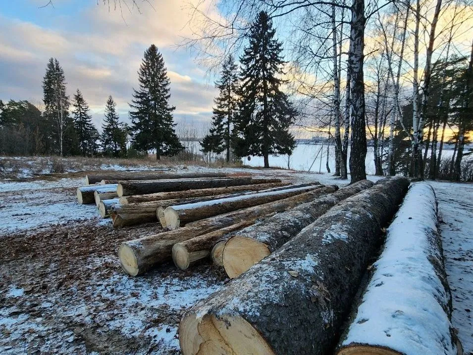 Ижевский зоопарк