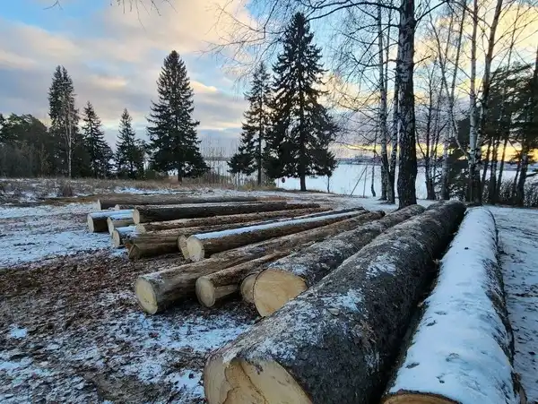 Ижевский зоопарк