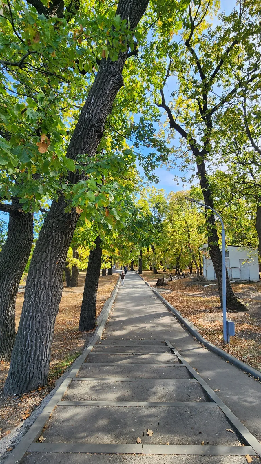 Саратовский ГПКиО имени М. Горького, фото 2