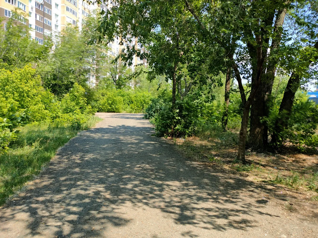 Сад имени Октябрьской Революции
