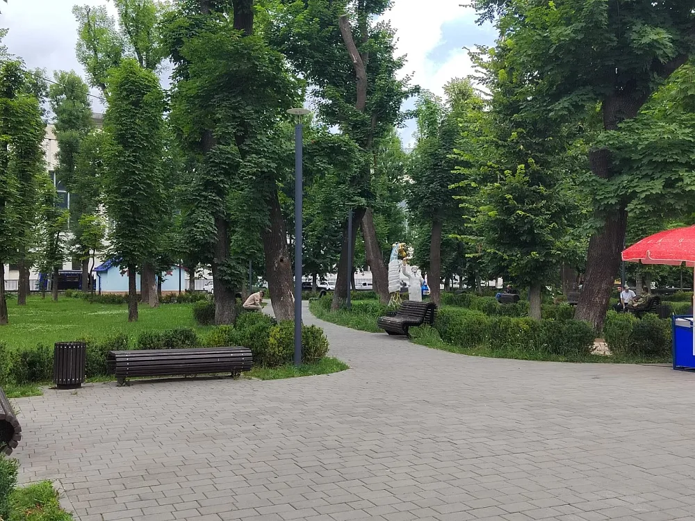 Детский парк имени Жуковского, фото 2