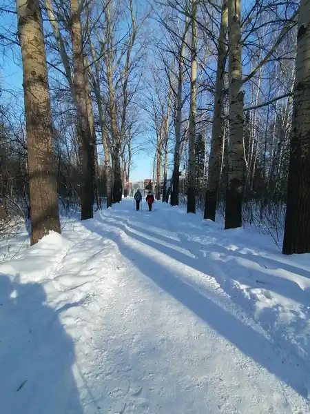 Новосибирский дендропарк