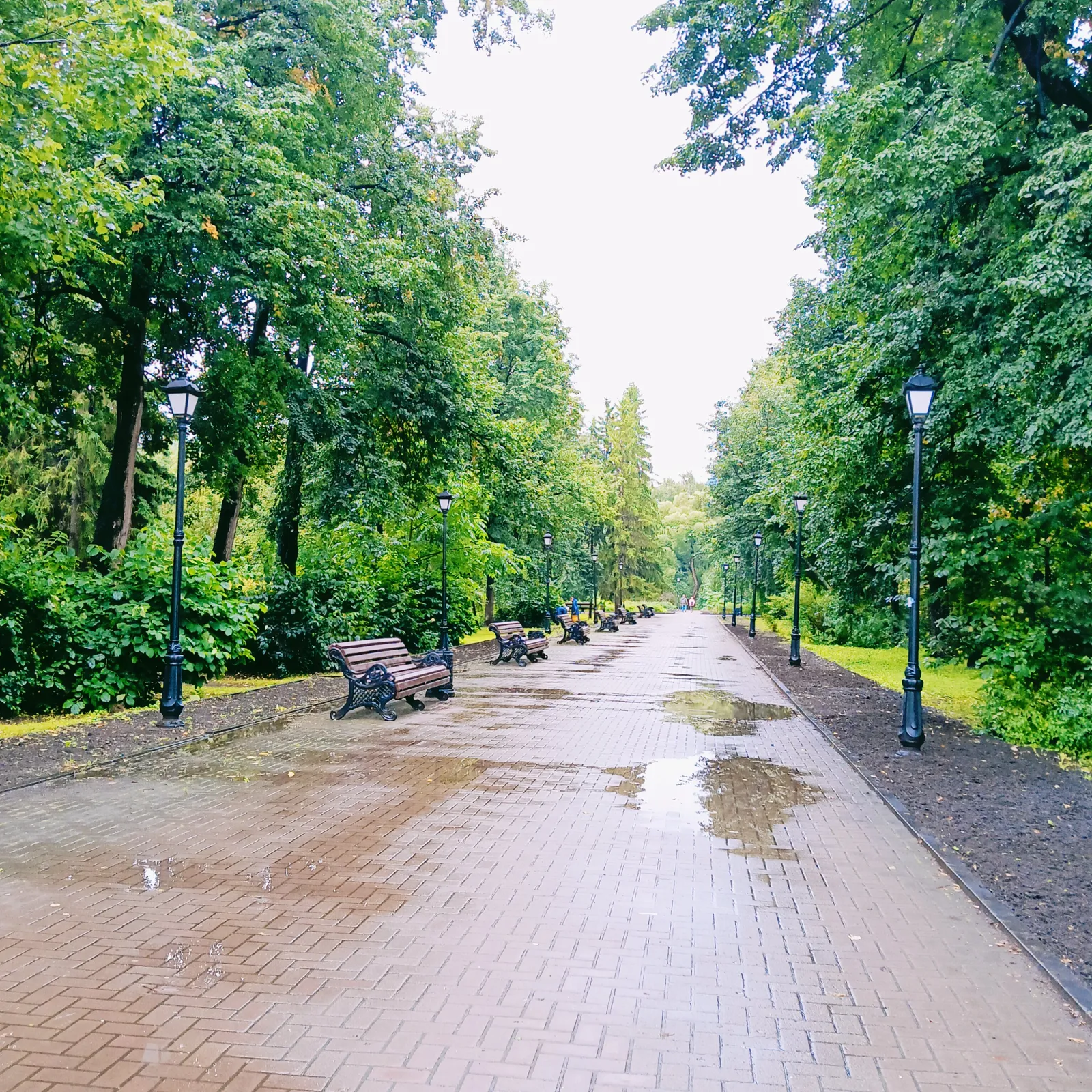 Новосибирский дендропарк, фото 2