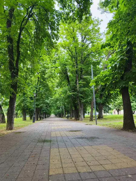 Бульвар Генерала Ермолова