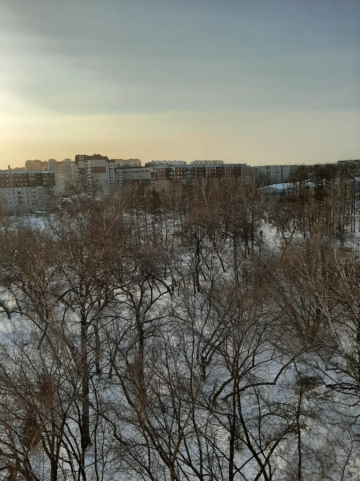 Мизюлинская роща