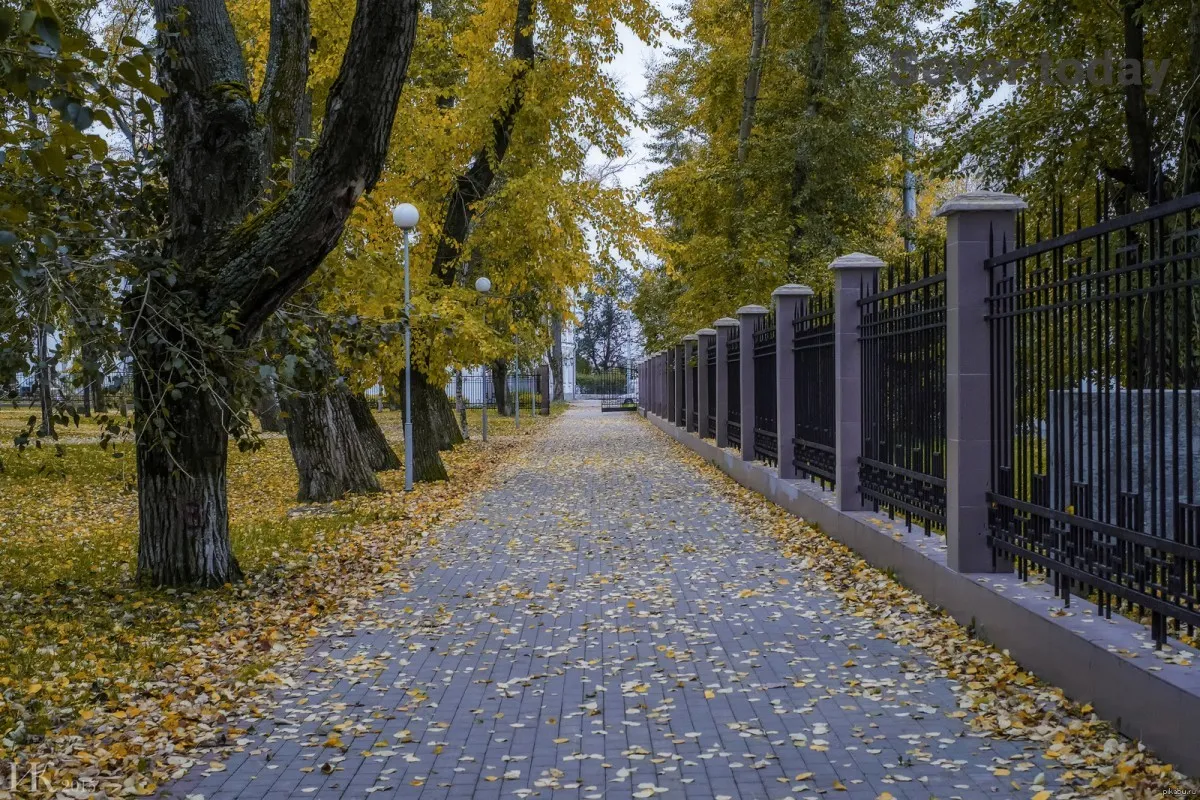 Парк «Петровский»
