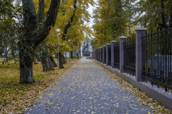 Парк «Петровский»