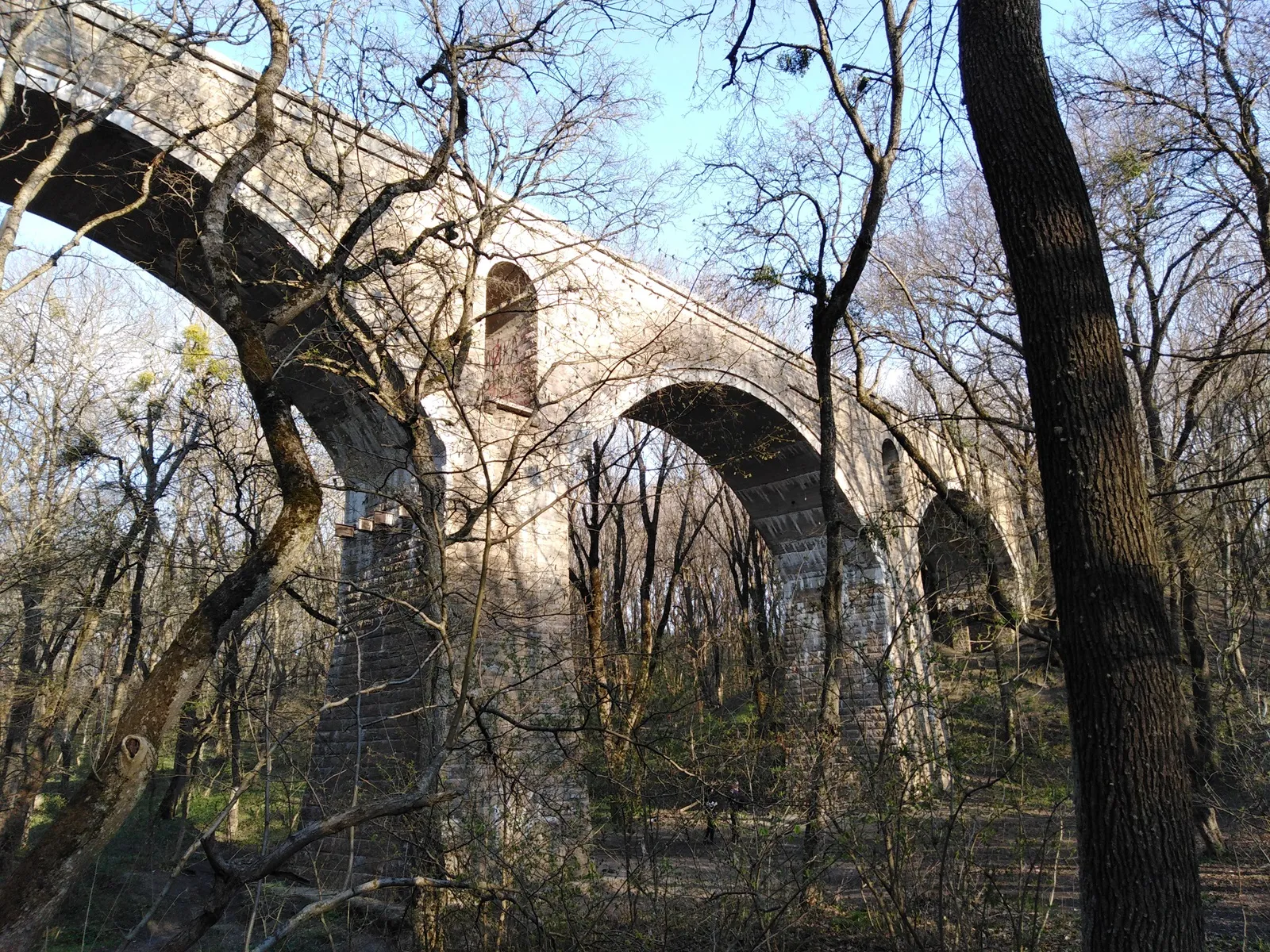 Центральный парк, фото 2