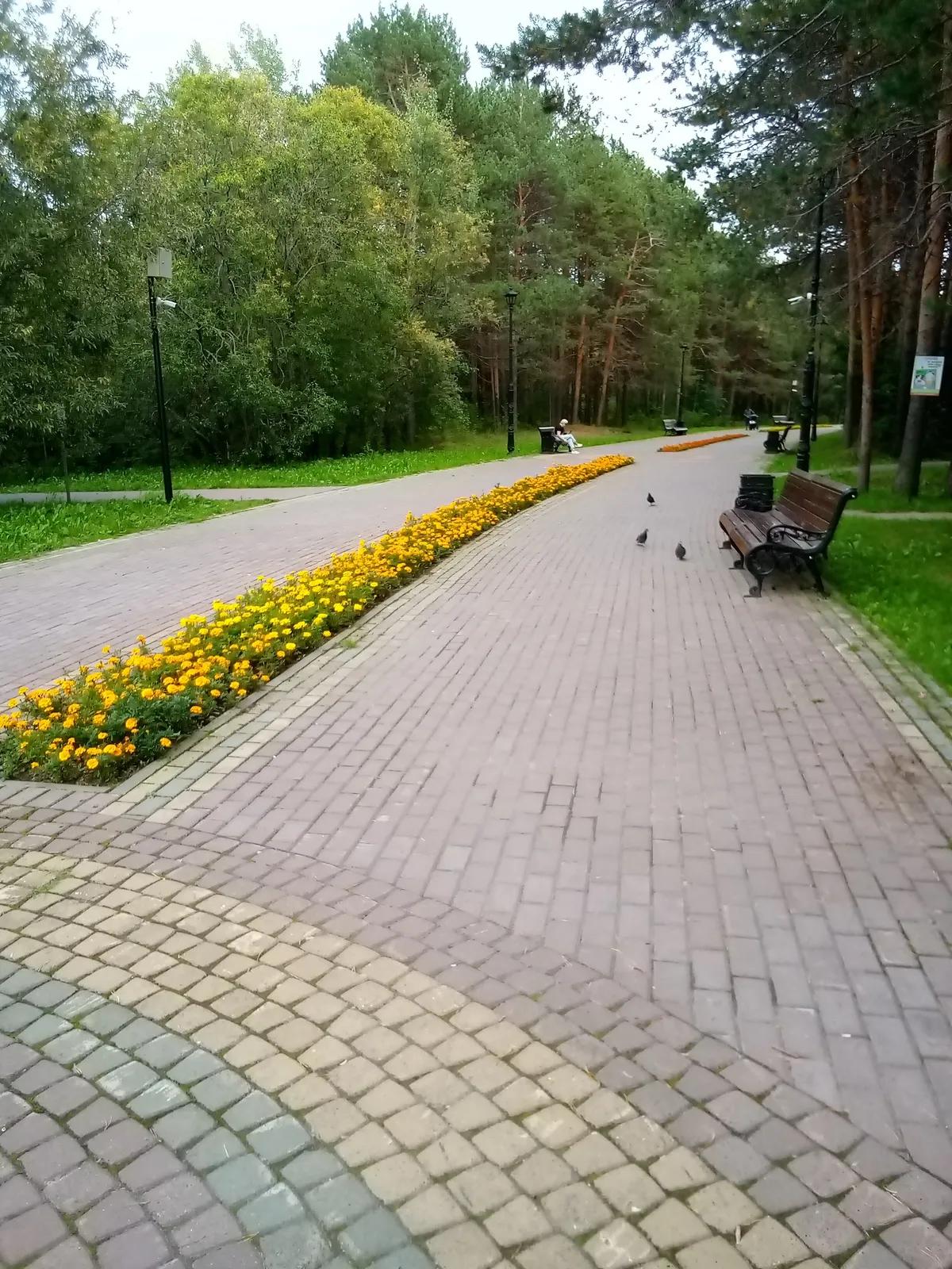 Сквер Старожилов Сургута, фото 3