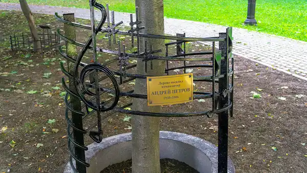 Сад Андрея Петрова