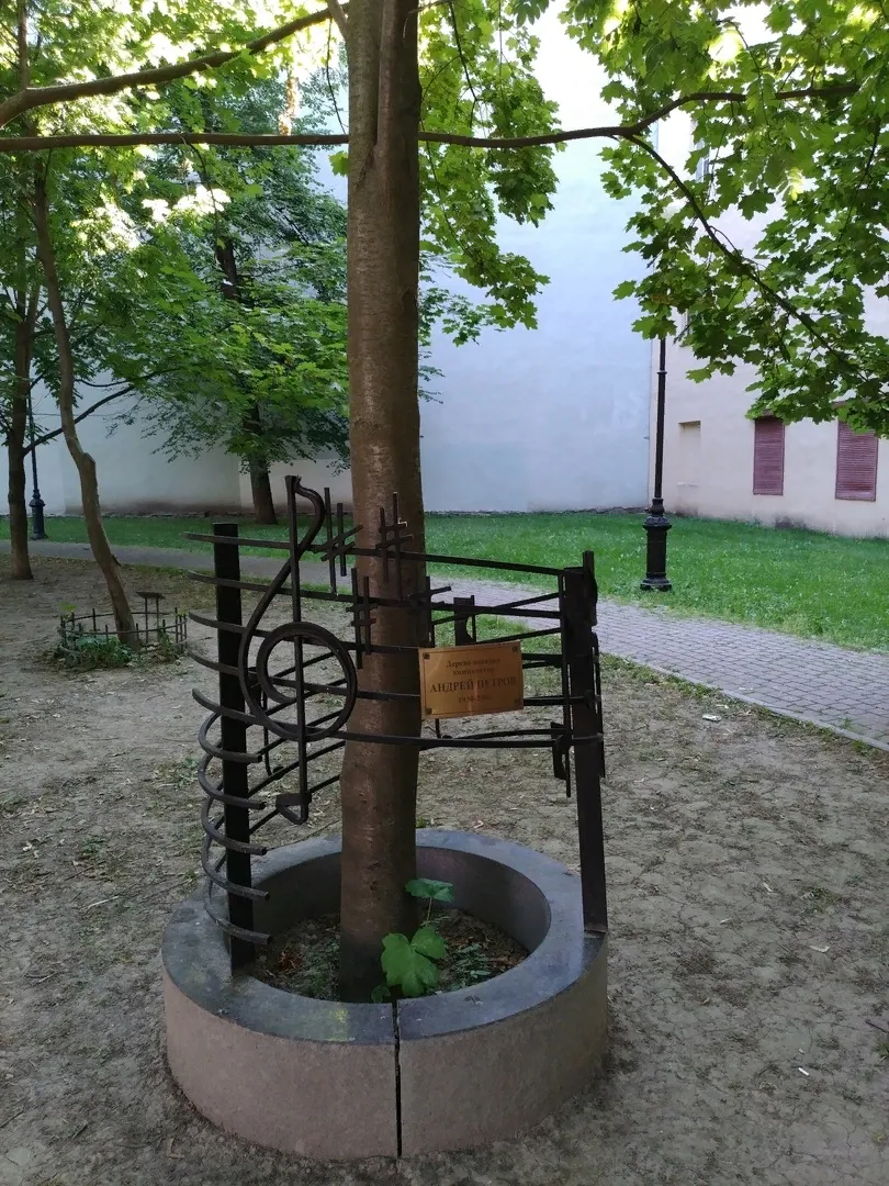 Сад Андрея Петрова, фото 3