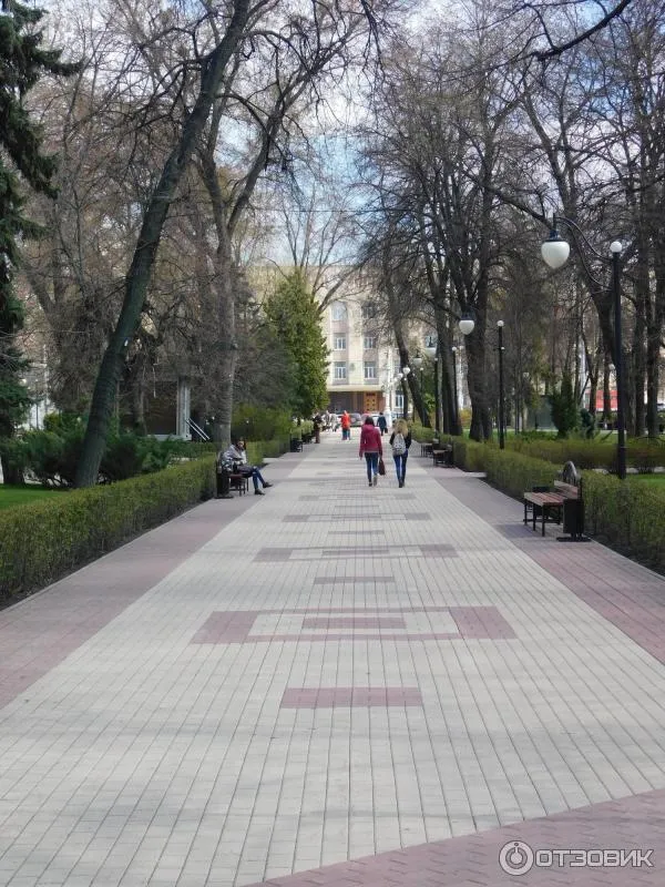 Кольцовский сквер, фото 3